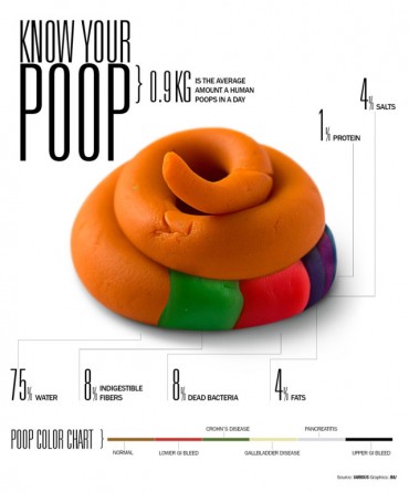4 Don’ts of Creating Exceptional Infographics 4 Don’ts of Creating Exceptional Infographics