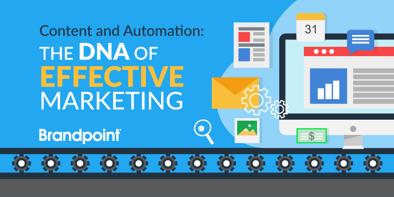Image: Webinar Transcript - The DNA of Effective Marketing