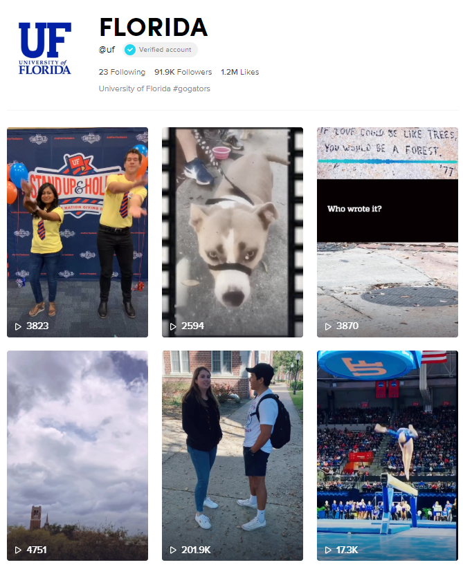 University of Florida TikTok