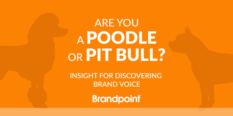 BlogImage_PoodleorPitbull